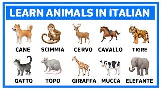Learn animals in Italian  | Learn italian #learn_italian #italian