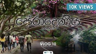 Peradeniya University Tour | පේරාදෙණිය සරසවිය | Seven Wonders of Pera | Vlog 10 | Sinhala Vlog