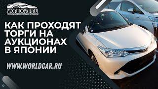 Как проходят торги на японских автоаукционах? 