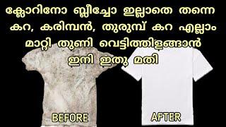 ബ്ലീചോ ക്ലോറിനൊ ഇല്ലാതെ തന്നെ കരിമ്പൻ, തുരുമ്പിൻ്റെ കറ എല്ലാം കളയാം | Kitchen Tips