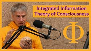 Integrated Information Theory of Consciousness (IIT) Explained by Christof Koch [Interview Clip 2]