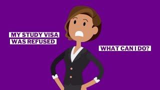 My study visa was refused. What can I do?