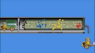 Chromatography  Animation IQOG CSIC 2