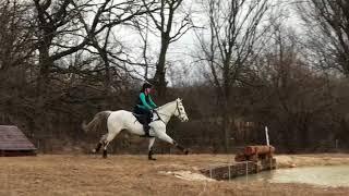 XC Schooling at Stone Ridge Eventing (2/3/18)