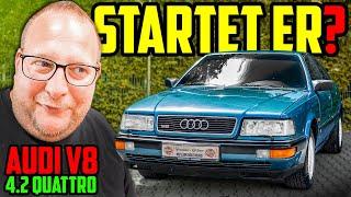 Zu GUT zum SCHLACHTEN? - Audi V8 4.2 Quattro - Marco CHECKT den NEUZUGANG!