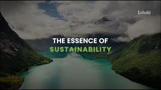 The Essence of Sustainability