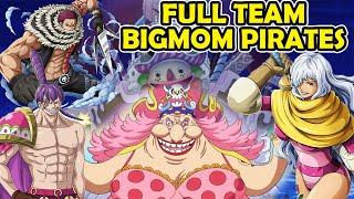 GG BANGET !!! SHOWCASE TEAM FULL BIG MOM PIRATES - ONE PIECE BURNING WILL