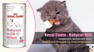 Заменитель молока для котят · Royal Canin Babycat Milk · Инструкция по приготовлению