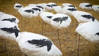 The CHEAPEST Snow Goose Windsock Decoys | Quality Design, Best Price!