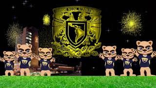 Pumas - Goya UNAM