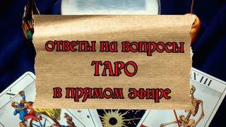 taroVefire в прямом эфире!