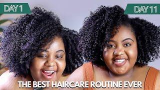 *ALL MY SECRETS REVEALED* My UPDATED Type 4 Natural Hair Routine for Hair Growth + Length Retention