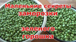 Заморозка зеленого горошка. Как правильно заморозить зеленый горошек на зиму.