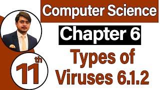 11th Class Computer Science Chapter 6 - Types of Viruses (6.1.2) - ICS Computer Part 1 Chapter 6