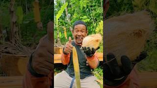 ALAT PENGUPAS KELAPA TERCEPAT #art #craft #diy #video #viral #like #food #kreatif #shorts