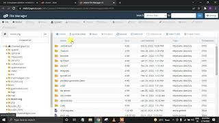 How to recover hacked WordPress website redirected to other website remove the hacking code with me