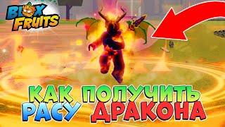 БЛОКС ФРУТС КАК ПОЛУЧИТЬ РАСУ ДРАКОНА гайдRoblox Blox Fruits Draco