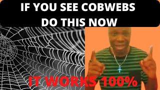 IF YOU SEE COBWEBS ANYWHERE YOU GO PLEASE DO THIS IMMEDIATELY