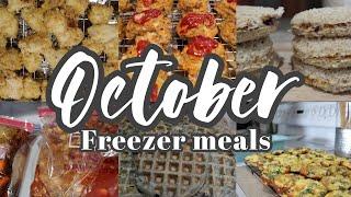 Toddler meal prep - freezer friendly