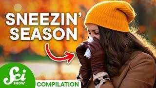 A Season for Disease'n | The Truth About Seasonal Allergies