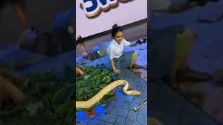 Devoleena Touch Snake|Gopibahu Touch Snake| #devoleenabhattacharjee #snake