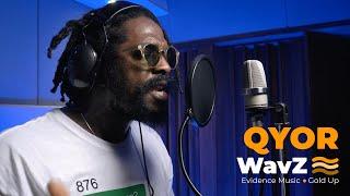 Qyor - Cups Up | WavZ Session [Evidence Music & Gold Up]