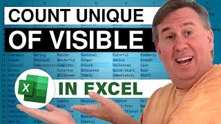Excel Unique Count of Visible Rows - Episode 2399
