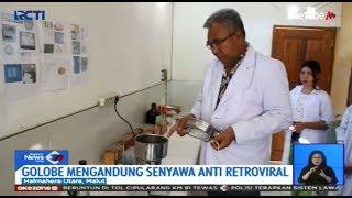 HEBAT! Seorang Dokter di Halmahera Utara Temukan Obat Herbal HIV - SIS 03/09