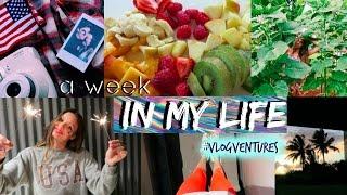 A WEEK IN MY LIFE | #VlogVentures