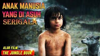 KISAH ANAK MANUSIA DIASUH OLEH  SERIGALA | Alur Film