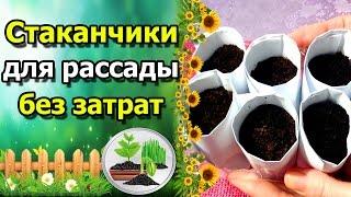 СТАКАНЧИКИ ДЛЯ РАССАДЫ БЕЗ ЗАТРАТ. Делаем своими руками.