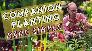 Why Vegetables Need Friends: Companion Planting Made Simple 