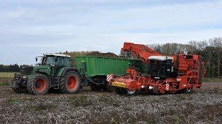 Dewulf RS3060 + 2x Fendt & KVH - aardappelen rooien