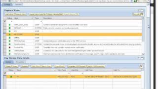 How do add certificated to SAP PI to use in PIArchiving