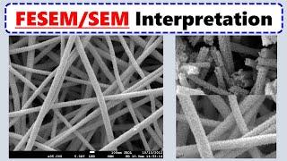 How to Interpret SEM Images?