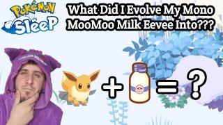 What Did I Evolve My Mono MooMoo Milk Eevee Into??? | Pokemon Sleep (Session 502)