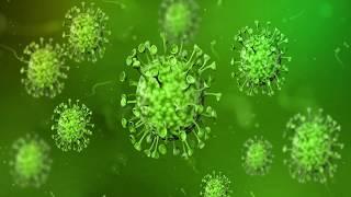 Green screen Animated 3D Model Corona Virus l Corona Virus Motion Bg