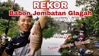 REKOR STRIKE MANGROVE JACK DI JEMBATAN SUNGAI GLAGAH KANGBROO !!! JORAN HAMPIR BABLASS !!!