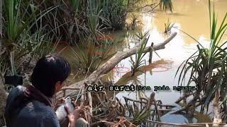 AIR SURUT!!MANCING IKAN GURAME//HANYA PAKAI BUAH BERMINYAK