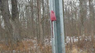 TONGUE STUCK TO FROZEN POLE! (GRAPHIC WARNING)