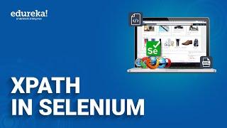 XPath in Selenium  | Selenium XPath | Selenium Training | Edureka  Rewind