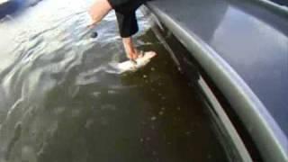 2011 Willamette River Sturgeon Fishing with Total Fisherman Guide Service