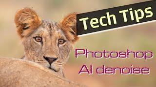 Hear my thoughts about new Adobe Photoshop AI Denoise and how it fits with my workflow OM-1