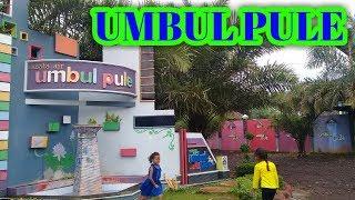 Jalan ke wisata umbul pule dan umbul bening lewat tulungrejo jalur jember