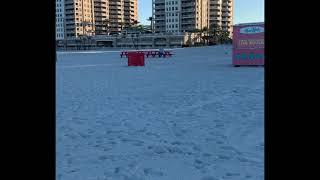 Dog training at Clearwater beach!