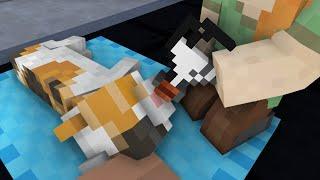 Minecraft Life of Steve and Alex | CRYING WET AND HUNGRY KITTEN NEEDS HELP | Top 5 Best Sad Stories