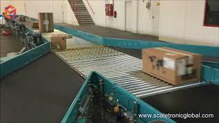 LineSplitter Parcel Sorter by Scaletronic