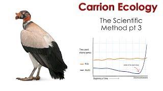 1 4 The Scientific Method pt 3