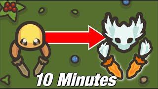 Taming.io - From 0 To Max Age in 10 MINUTES with Daggers Uncut - How to level up fast?