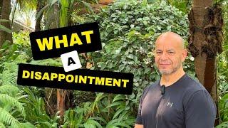 My Disappointment in Thailand | Chiang Mai Living